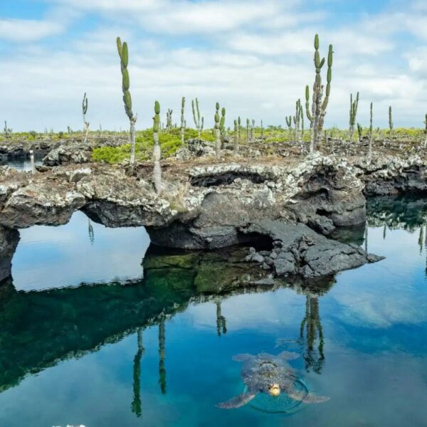TOUR A LOS TÚNELES EN ISABELA